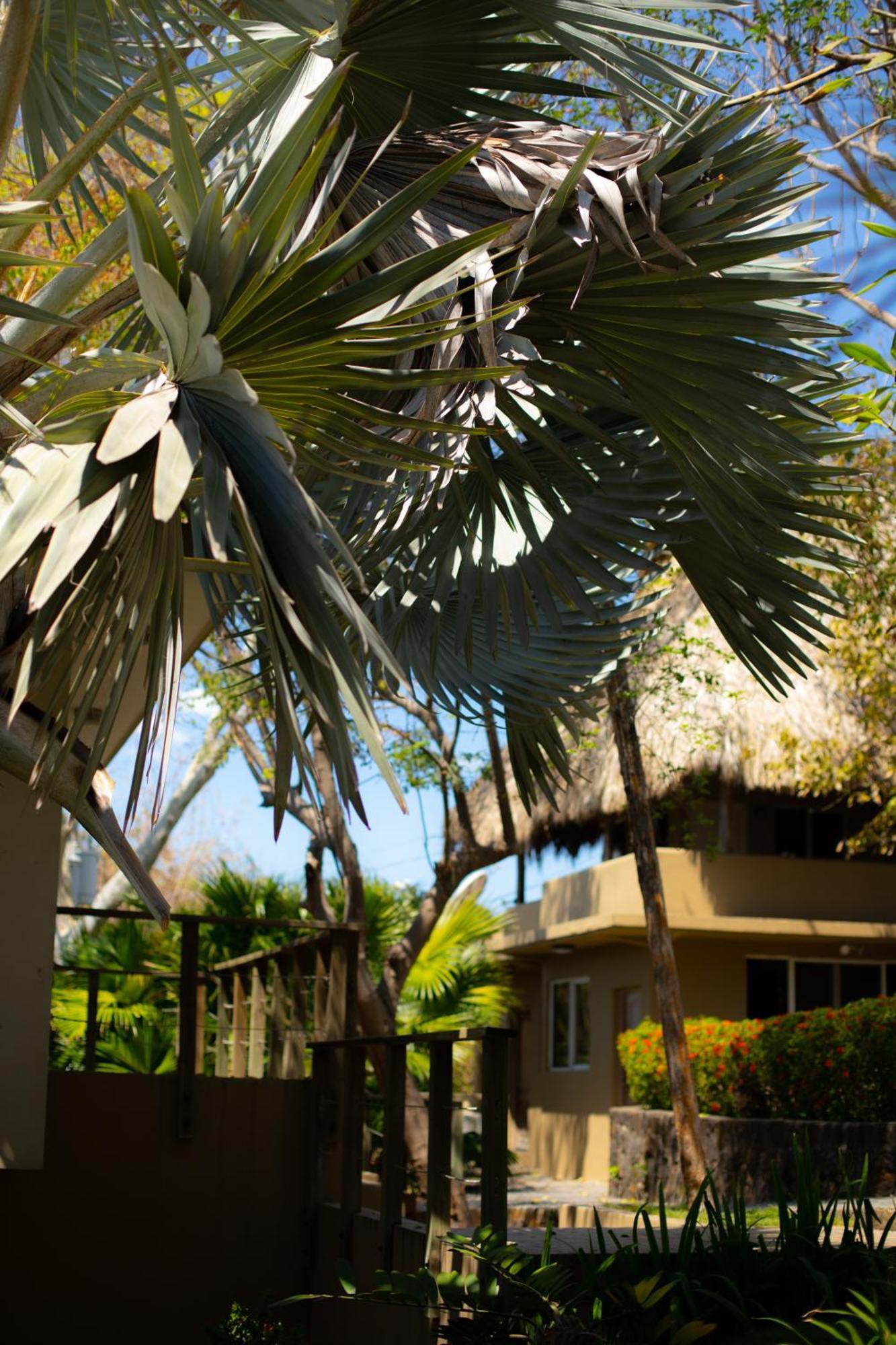 Casa De Mar Hotel And Villas Ла-Либертад Экстерьер фото
